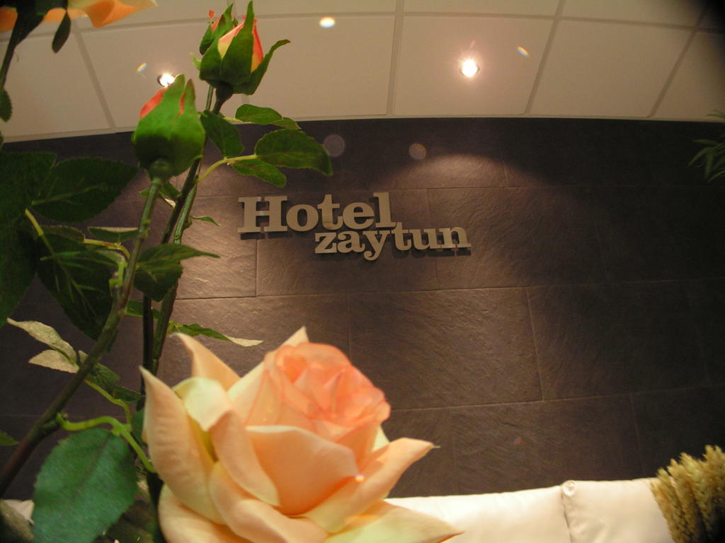 Hotel Zaytun Mequinenza Dış mekan fotoğraf